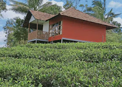 Collection O 811106 Ashiyana Homes, Kakkanad Kochi, Kochi